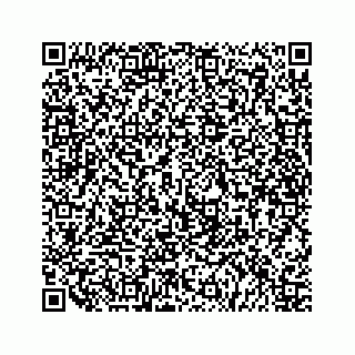 vCard 79519615936