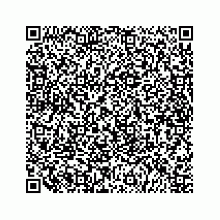 vCard 79519616031