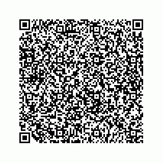 vCard 79519618421
