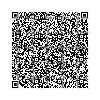 vCard 79519631417