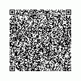 vCard 79519638033