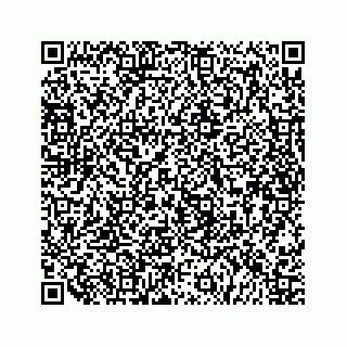vCard 79519638070