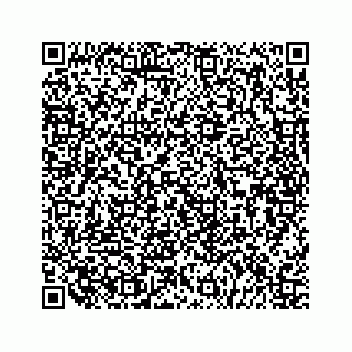 vCard 79519638528