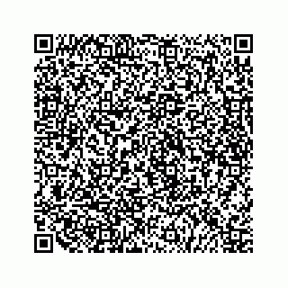 vCard 79519638737
