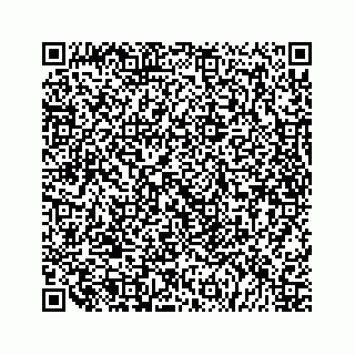 vCard 79519638801