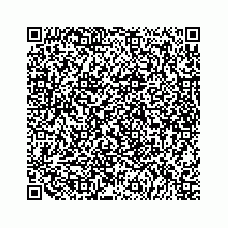 vCard 79519638805