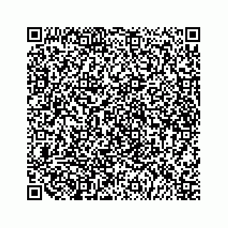 vCard 79519650137