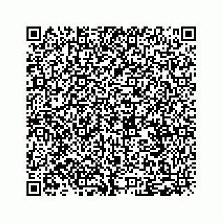 vCard 79519650309