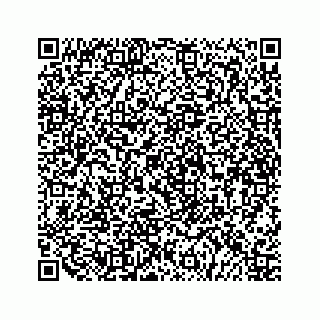 vCard 79519651332