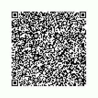 vCard 79519651373