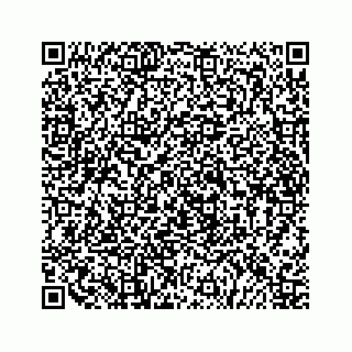 vCard 79519651375