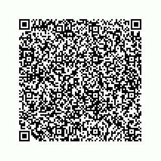vCard 79519651376
