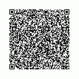 vCard 79519651379