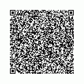 vCard 79519651382