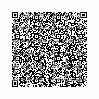 vCard 79519652097