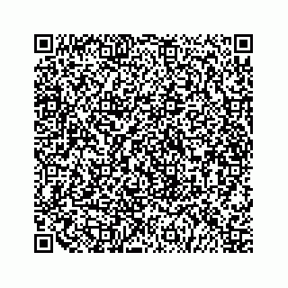 vCard 79519652100