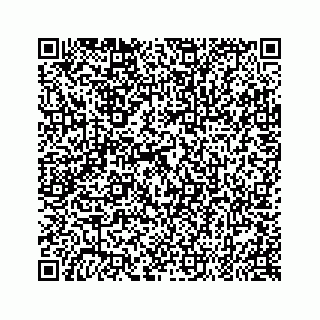 vCard 79519660011
