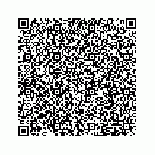 vCard 79519681047