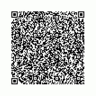 vCard 79519681053