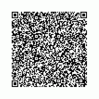 vCard 79519681055