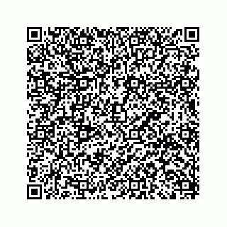 vCard 79519681299