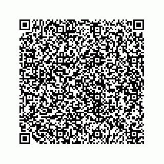 vCard 79519681381