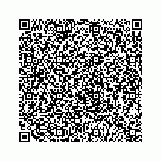 vCard 79519681671