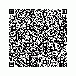 vCard 79519681672