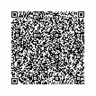 vCard 79519681673