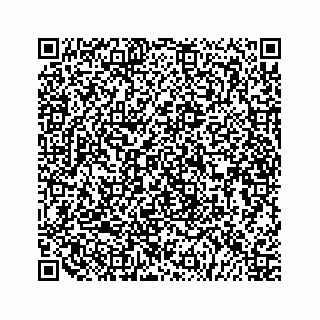 vCard 79519681678