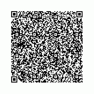 vCard 79519681685