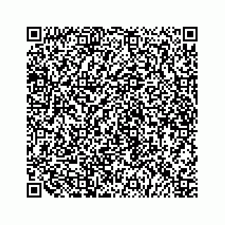 vCard 79519681703