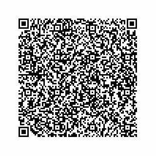 vCard 79519681728
