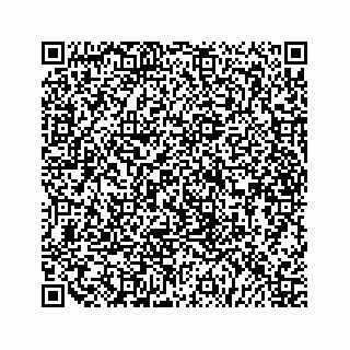 vCard 79519681730