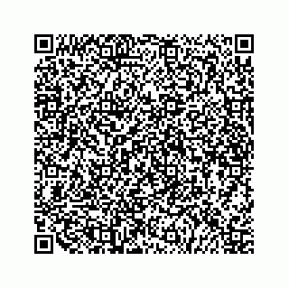 vCard 79519681775