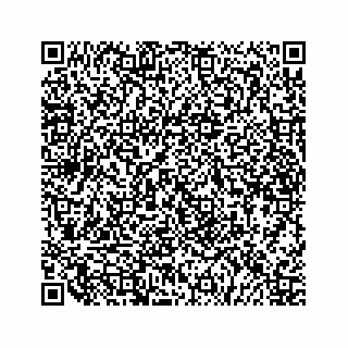 vCard 79519681777