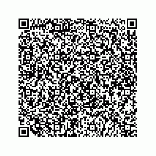 vCard 79519681802