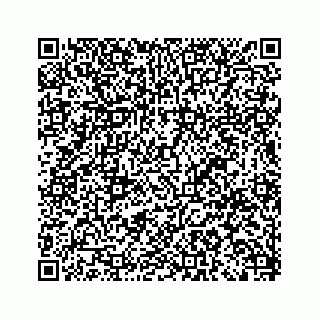 vCard 79519681838