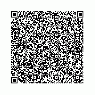 vCard 79519689303