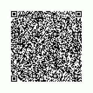 vCard 79519689346