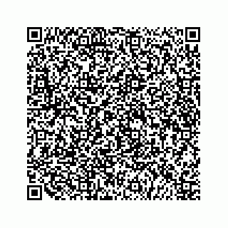 vCard 79519710275