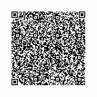 vCard 79519710285