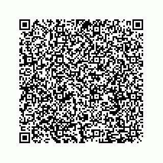 vCard 79519710287