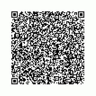 vCard 79519710293
