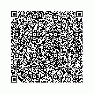 vCard 79519710306