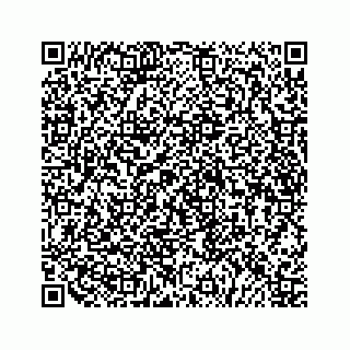 vCard 79519710315