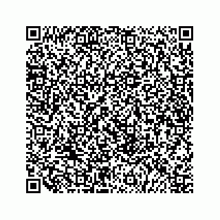 vCard 79519710316