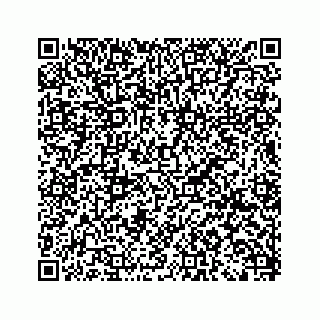 vCard 79519710325