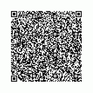 vCard 79519710327