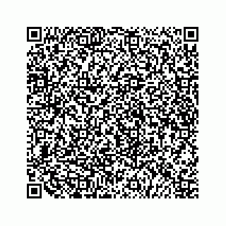 vCard 79519710337